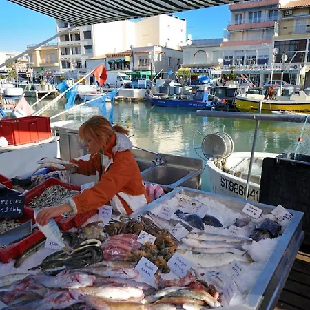 Appt T2 Climatise, Climatisation Neuve Cette Annee!, Piscine, La A 130m! Parking Prive Clos, Lave-linge, Lave-vaisselle, Draps, Linge Et Menage Inclus! Lejlighed Palavas-les-Flots